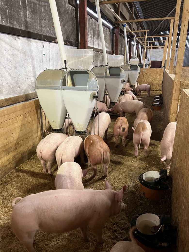 LITEN INVESTERING IMG_1642 780.jpg