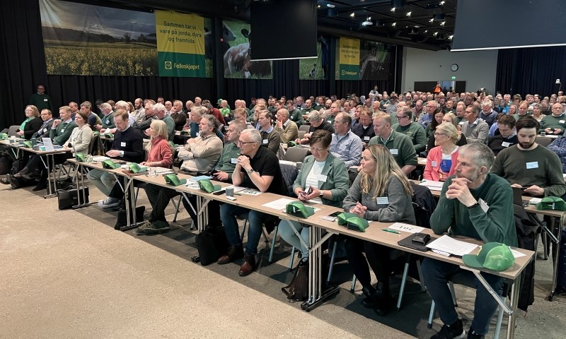 Ny eierorganisering i Felleskjøpet Agri