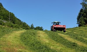 Tiltak for høg ytelse med årets grovfôr