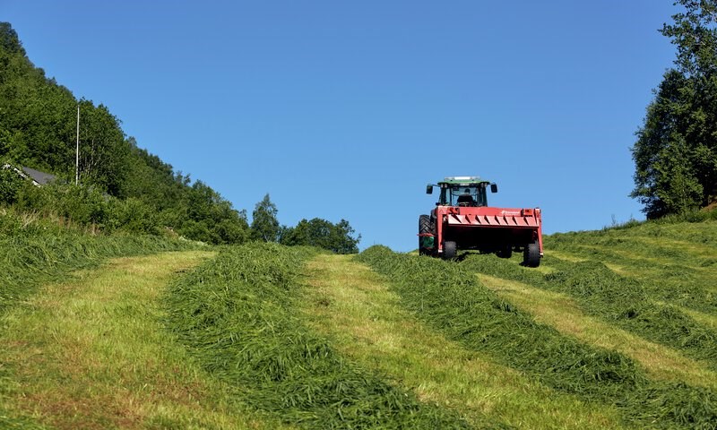 Grasslått på Vestlandet