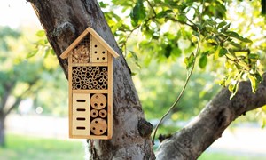 Redd biene med insekthotell