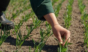 Betydelig vekst og resultatbedring i 2025