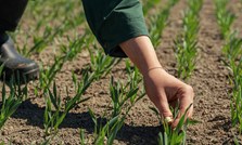 Betydelig vekst og resultatbedring i 2025