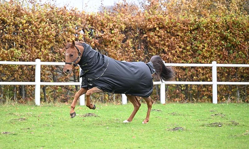 Hest løper med dekken