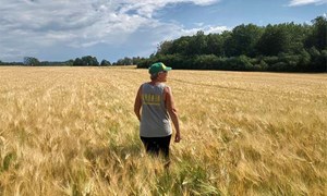 Du høster det du sår