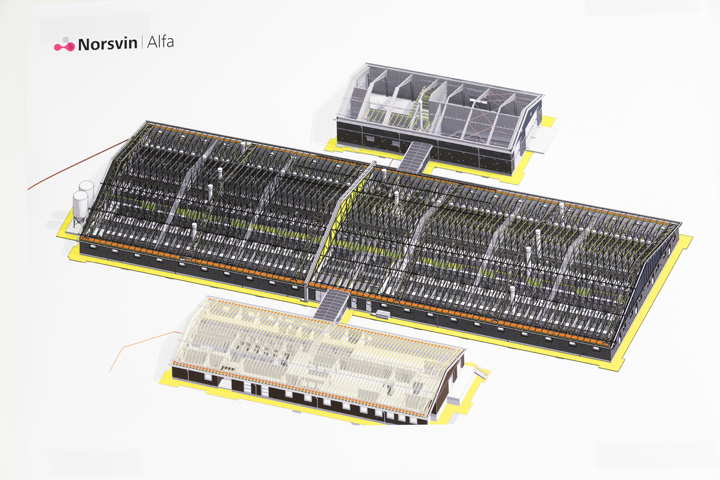 tegning av den nye seminstasjonen til norsvin