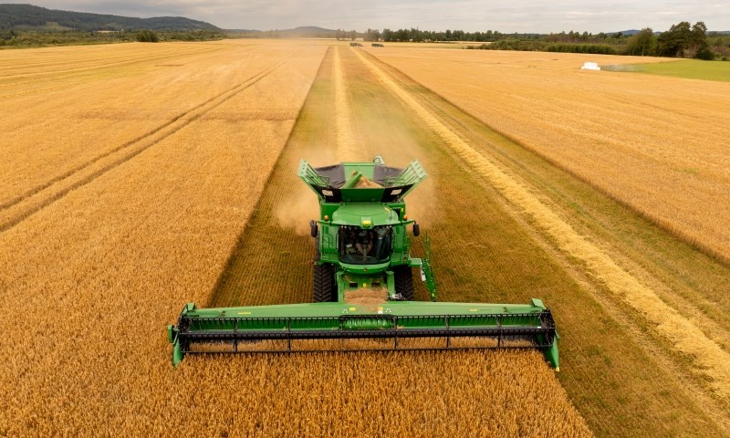 John Deere skurtresker i aksjon på Åsnes