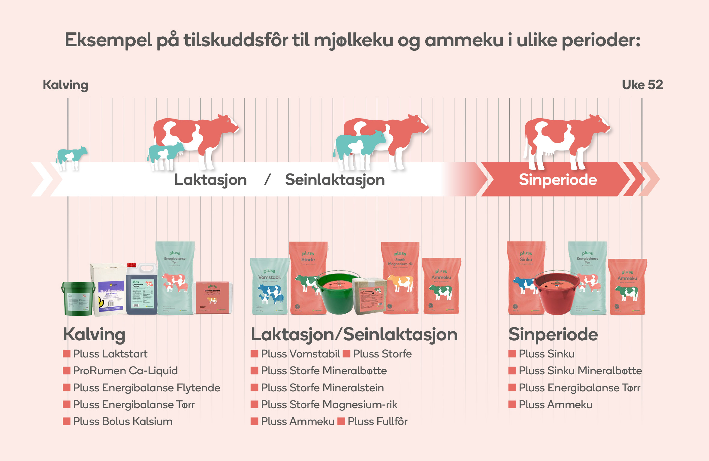 &Aring;rshjul tilskuddsfor ammeku og mj&oslash;lkeku.jpg