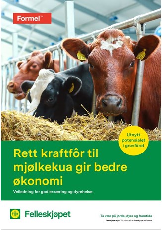Rett kraftfôr til mjølkekua gir bedre økonomi