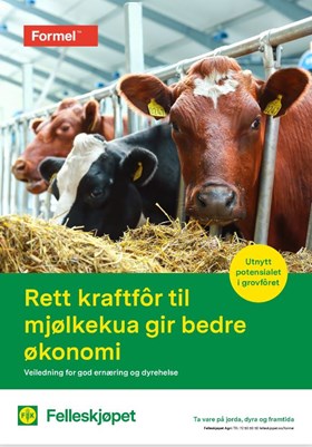Rett kraftfôr til mjølkekua gir bedre økonomi