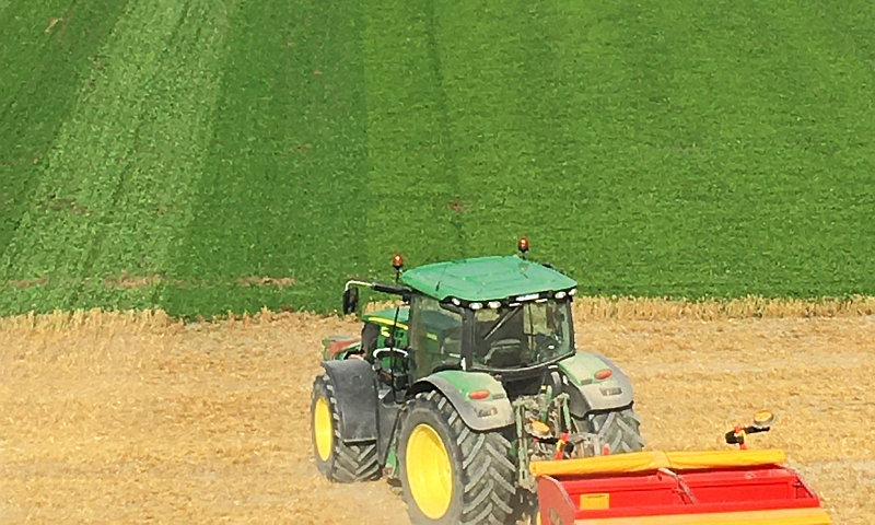 Gj&oslash;dsling av eng.jpg