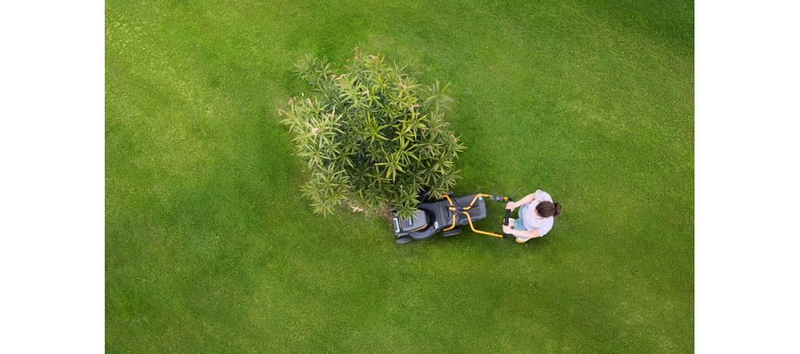 Velg riktig gressklipper til ditt behov