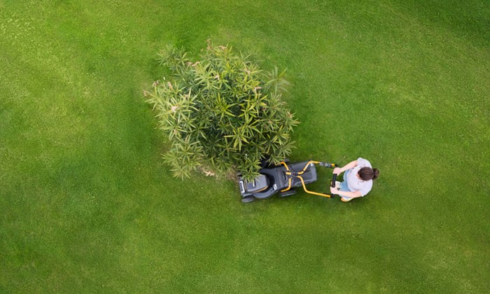 Velg riktig gressklipper