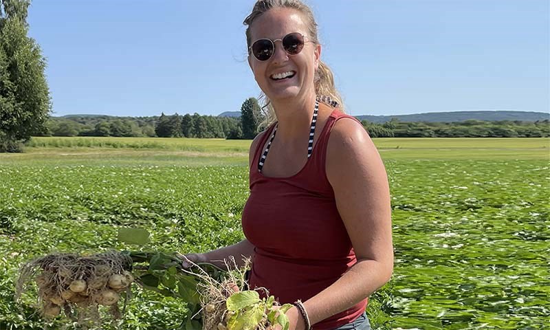 Poteten betaler for bladgjødsel og biostimulanter