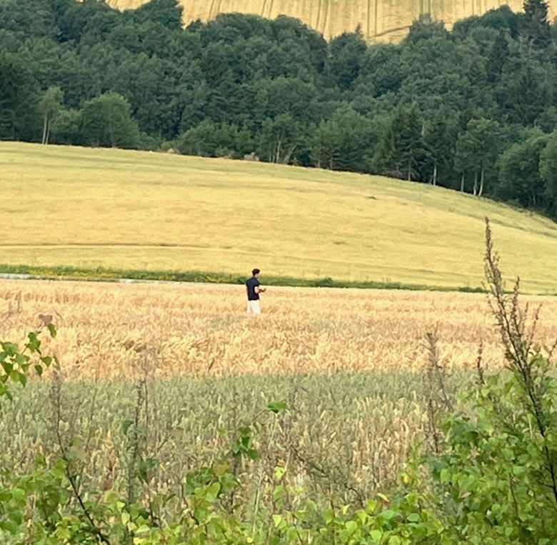 Dronepilot i hveteåker