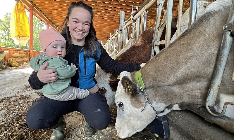 Ung bonde med stort smil, barn på armen og ammeku på båsen.