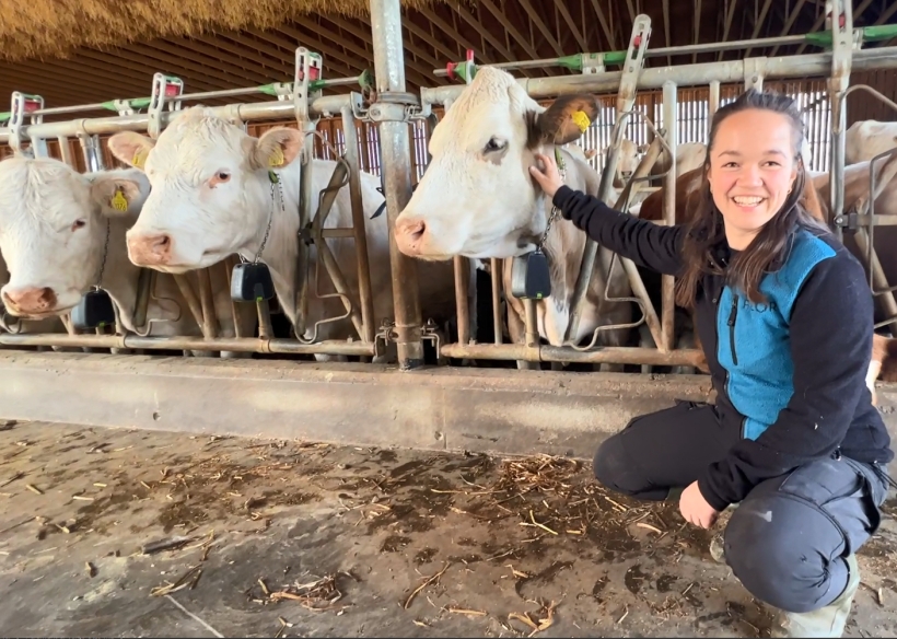 Kua Astrid er Camillas første ammeku