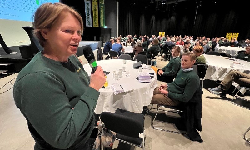 - Har vi riktig eierorganisering?