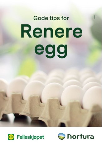 Gode tips til rene egg