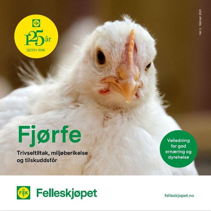 Fjørfe