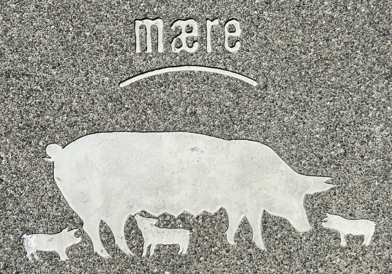 Grisefj&oslash;set p&aring; M&aelig;re