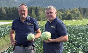 Felleskjøpet satser på grønnsaksprodusenter – Hørte gård er pilot