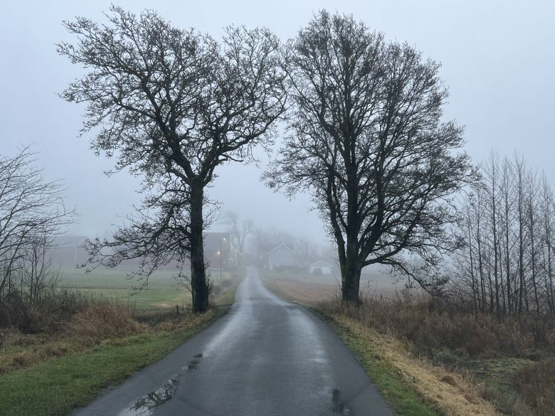 IMG_1055 GR&Aring; DAG 780.jpg