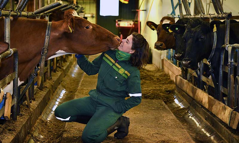 800x480 Sofie Rebekka H&oslash;ybakk_12.jpg