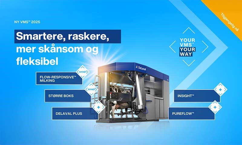 Ny, banebrytende sensor som forbedrer melkekvaliteten