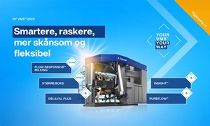 Ny, banebrytende sensor som forbedrer melkekvaliteten