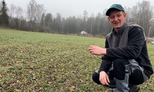 Tester ny Hyvega hybrid høsthvete