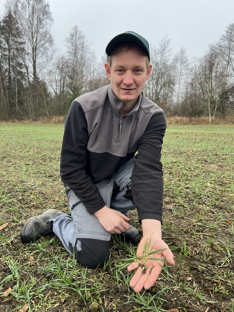 Mann i åker med små kornplanter i hånda