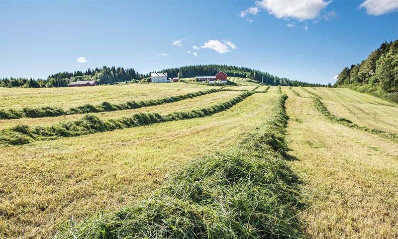 Grovfôret er det norske landbrukets viktigste ressurs 