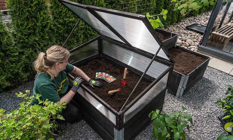 Slik blir du selvforsynt i egen hage