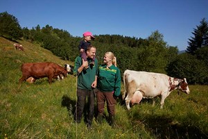 Spørsmål og svar medlem