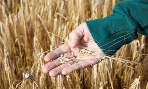 Stabil utvikling i fjerde kvartal