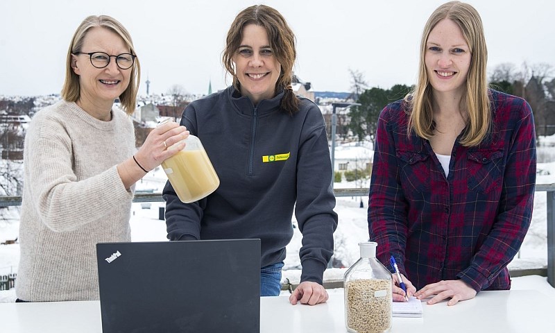 Kompletterer alternative råvarer med godt kraftfôr