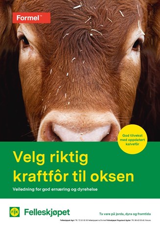 Velg riktig kraftfôr til oksen