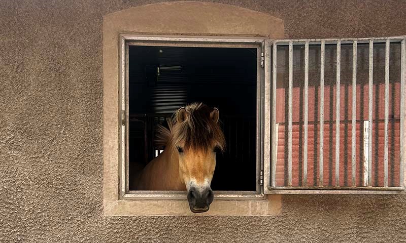 Fjording i stallvindu