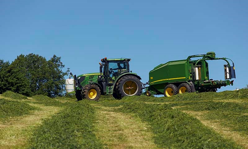 Landskapsbilde av eng. Foto.