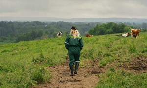 Finalistene i Årets unge bonde 2025 er klare