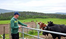 Beiting gir økt konkurransekraft