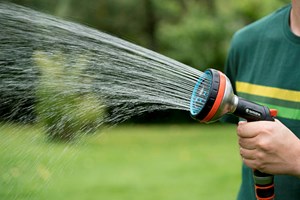 Så ofte bør du vanne