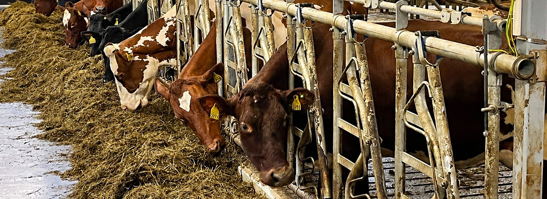 Felleskjopet image