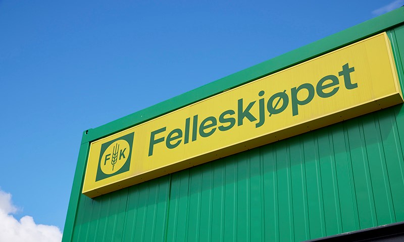 Felleskjøpet avdekket alvorlig produksjonsfeil: Egg tilbakekalles