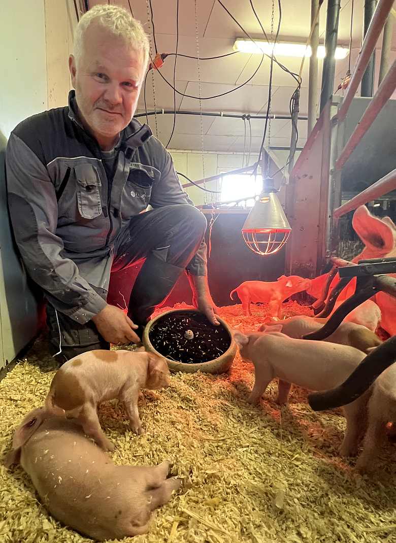 Bonde med sm&aring;gris for sm&aring;grisf&ocirc;r