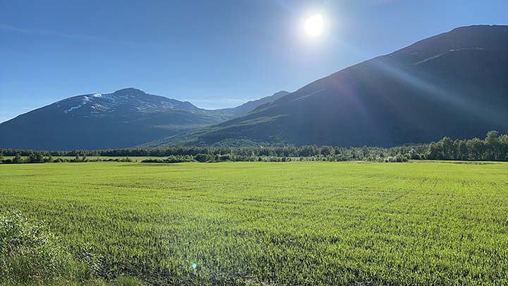 720x405 Bjørnsen åker i nord .jpg