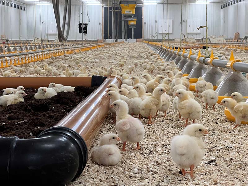 800x600 RIKERE MILJ&Oslash;.jpg