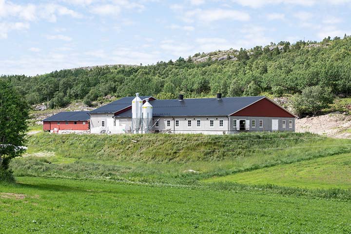 720x480 Kjærstad_20240625_6.jpg