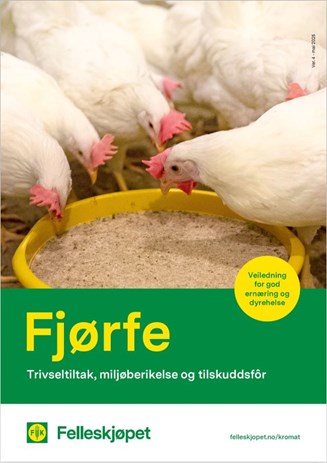 Fjørfe - trivseltiltak, miljøberikelse og tilskuddsfôr